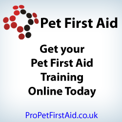 First Aid & CPR for small and large pets