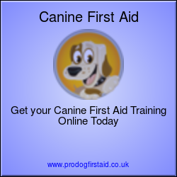 Canine First Aid Level 2 (VTQ)