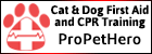 First Aid and CPR for Pets